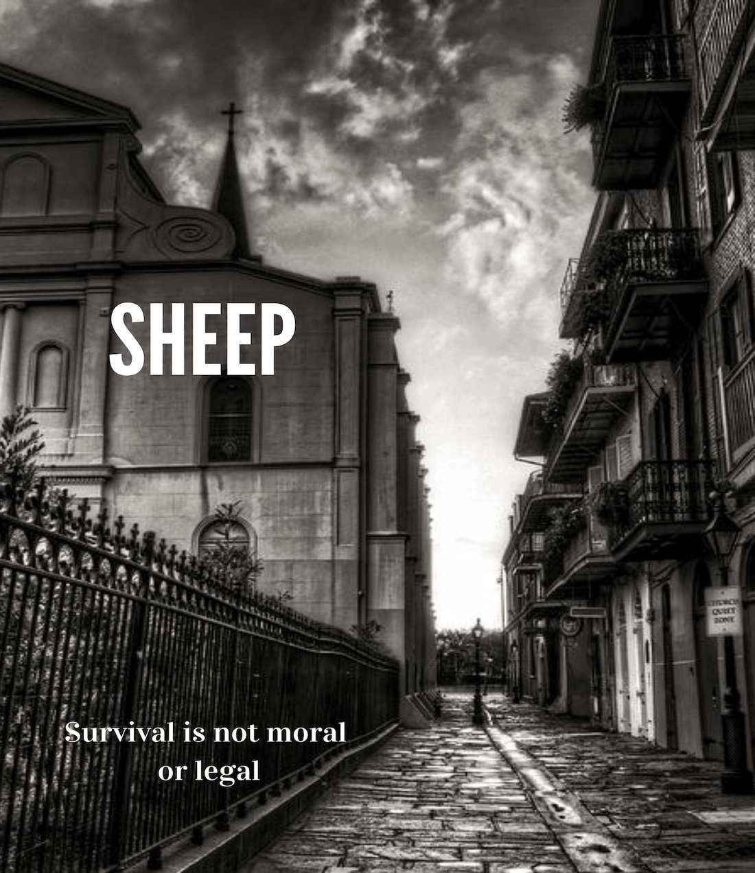 Sheep: From Script to Almost Screen — and Everything in Between